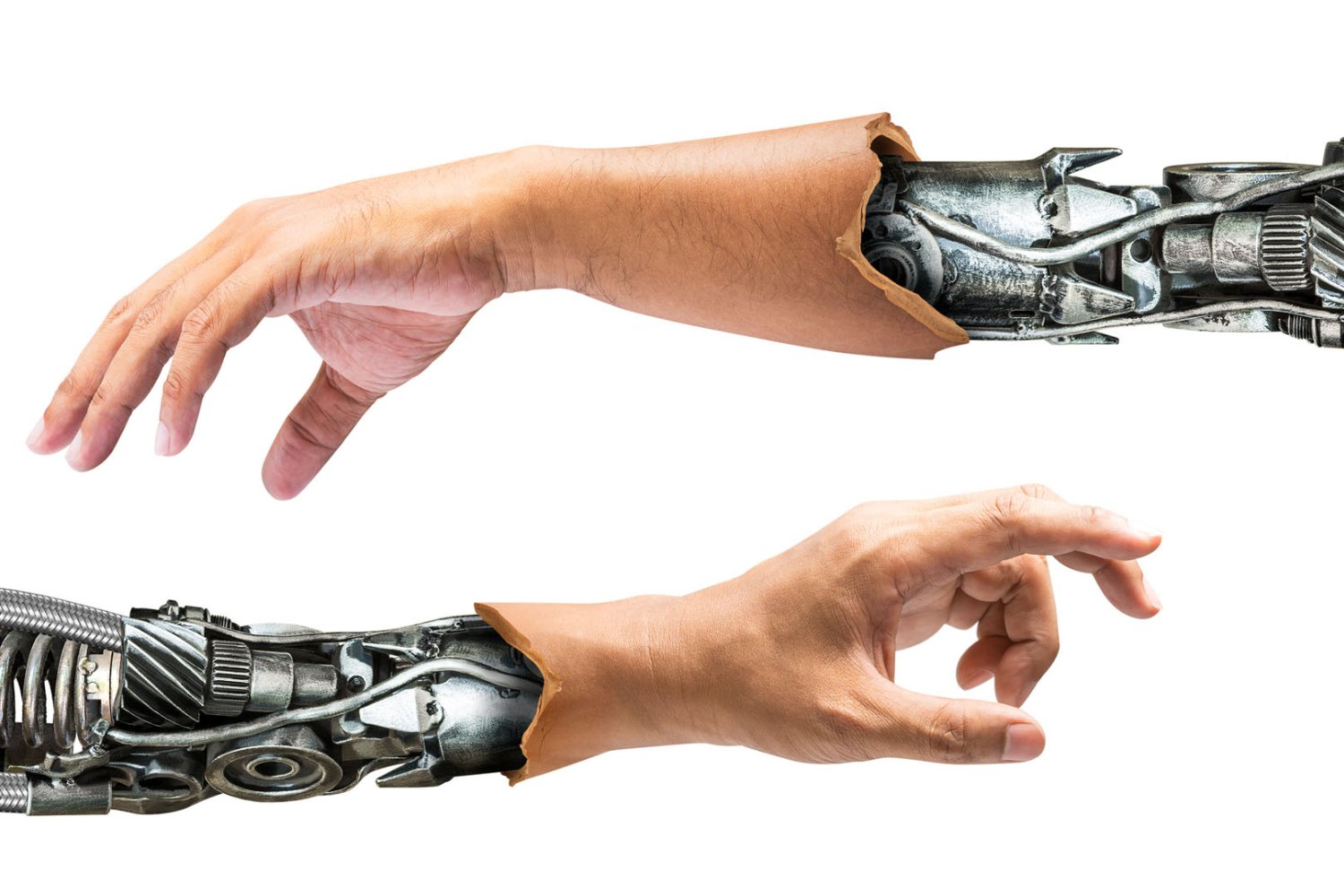 El futuro de la evolución humana: ¿Cómo cambiará nuestra especie en los próximos 100 años?