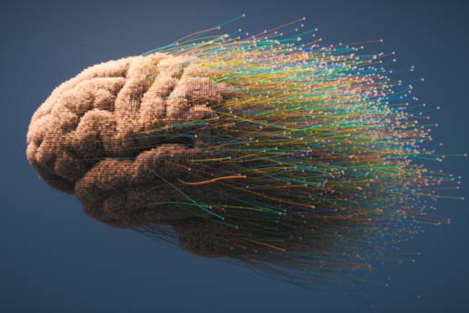 La imaginación: la mayor fábrica de ideas de la mente humana