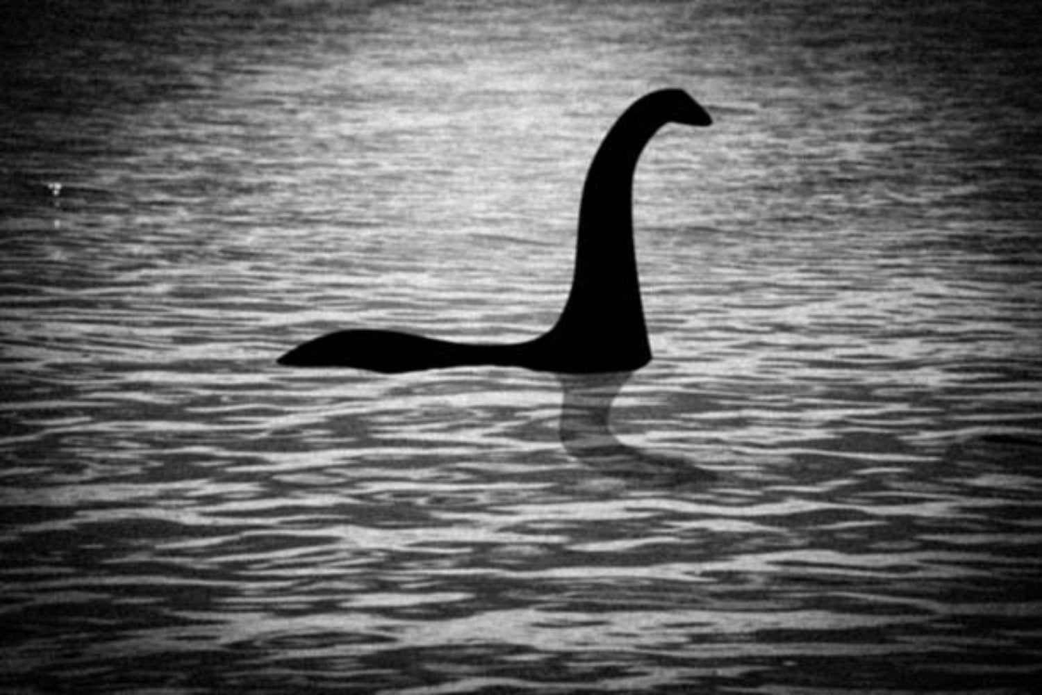 ¿Prueba definitiva del Monstruo del Lago Ness? La imagen que ha dejado a un cazador sin palabras