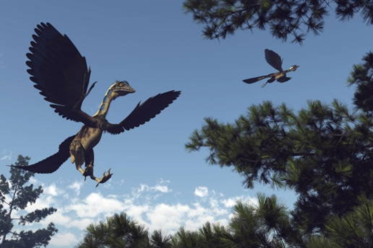 Un fósil de 149 millones de años desafía la historia de las aves: ¿el verdadero “primer pájaro”?