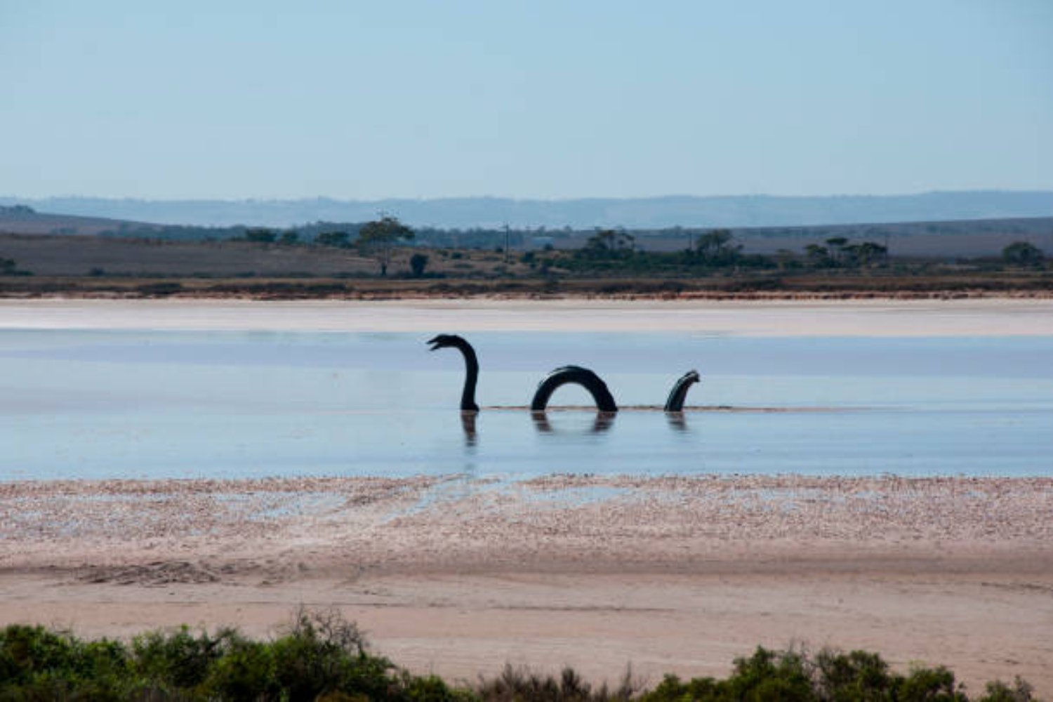 ¿Prueba definitiva del Monstruo del Lago Ness? La imagen que ha dejado a un cazador sin palabras