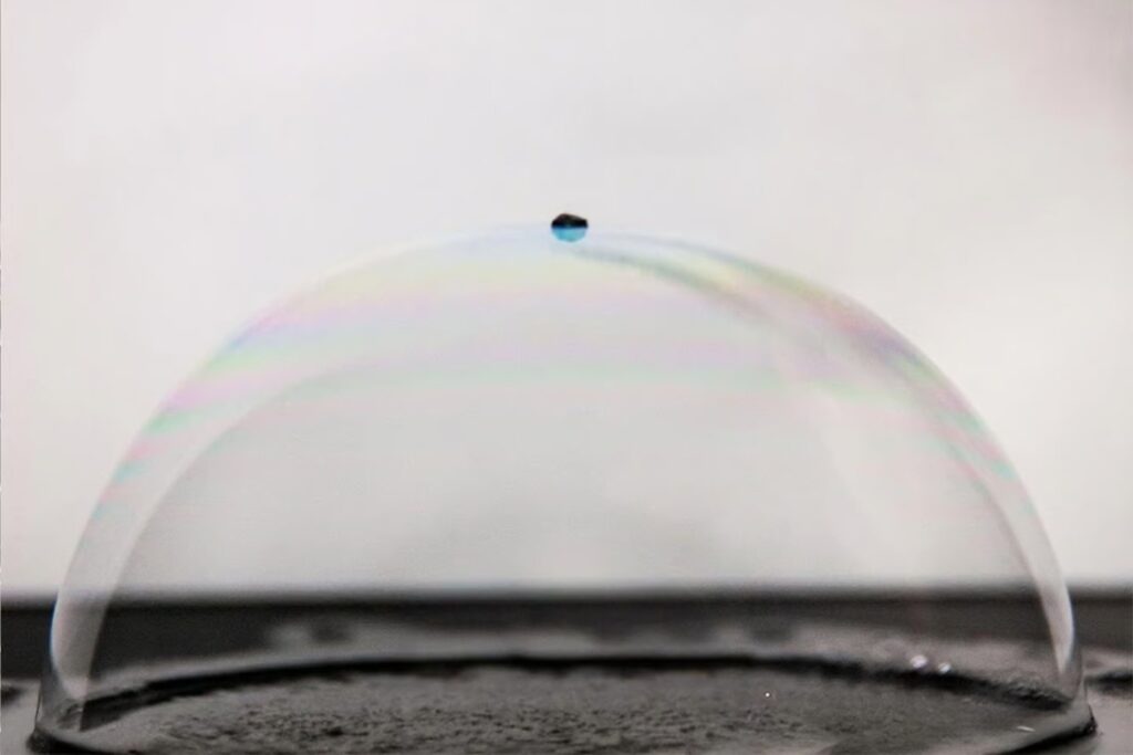 Diseño Sin Título (4)