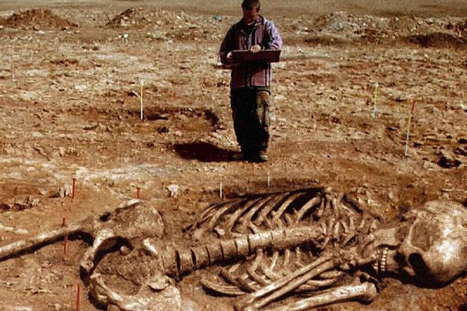¿Existen los gigantes? La ciencia responde a la teoría viral