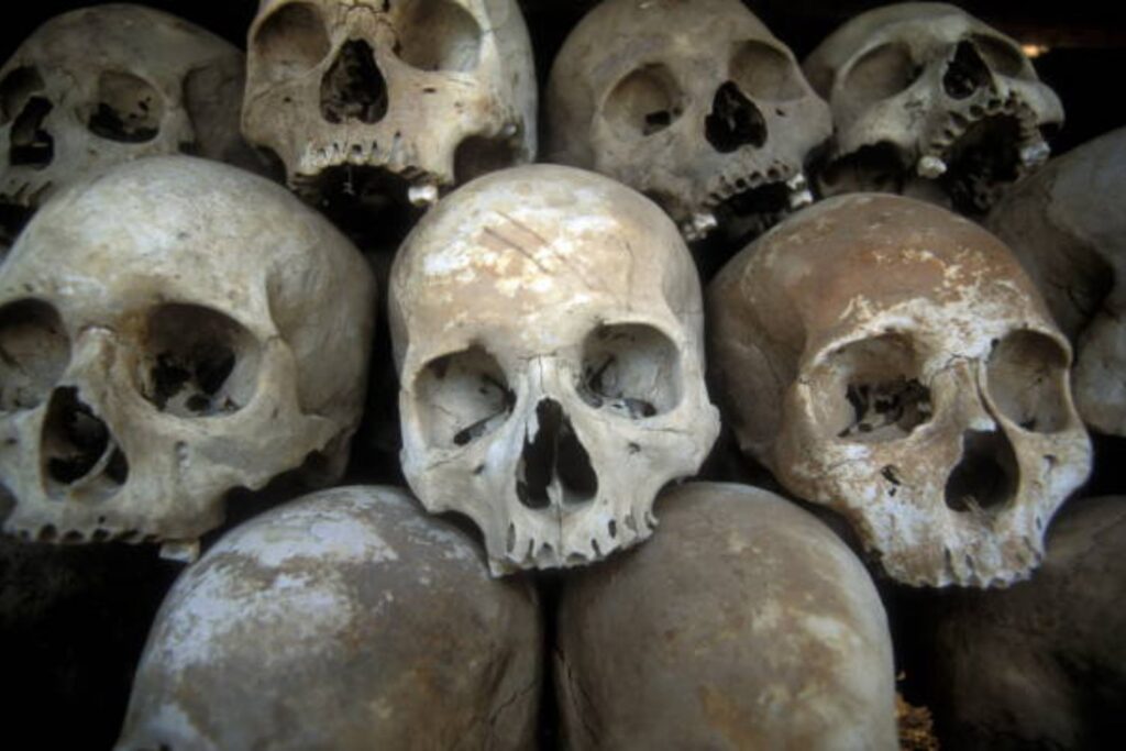 El oscuro secreto de los iberos: cabezas cortadas revelan una verdad escalofriante