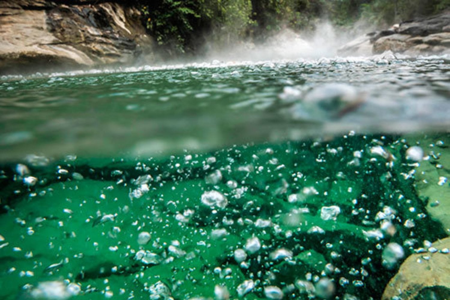 El río que hierve a sus víctimas: la aterradora realidad oculta en el Amazonas