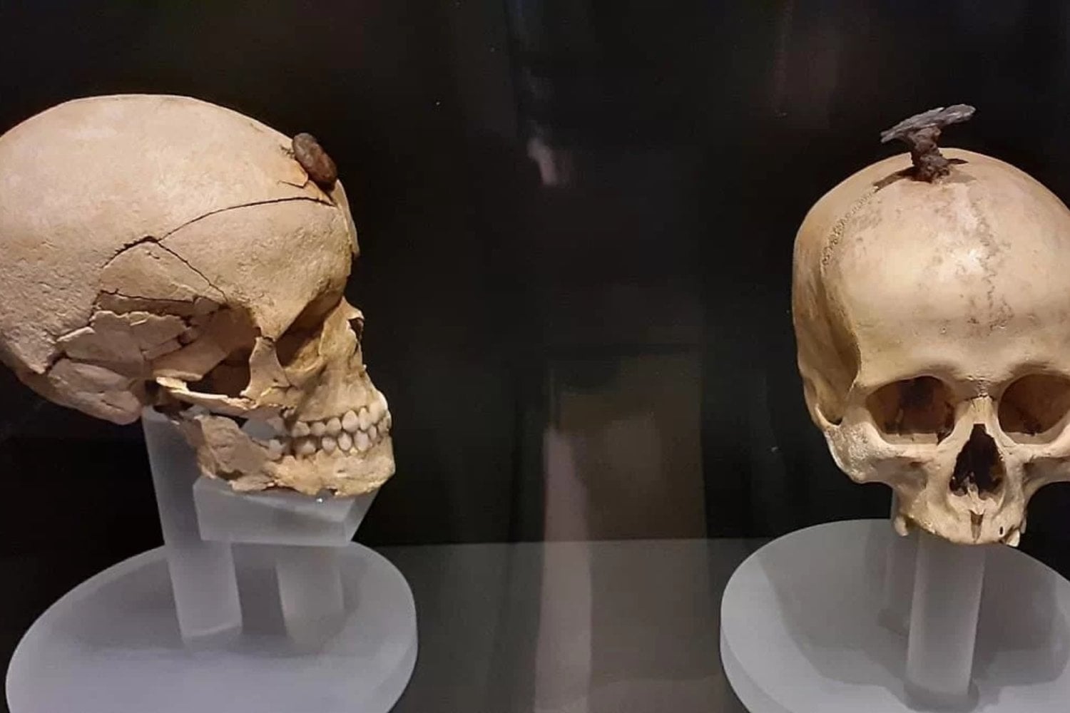 El oscuro secreto de los iberos: cabezas cortadas revelan una verdad escalofriante