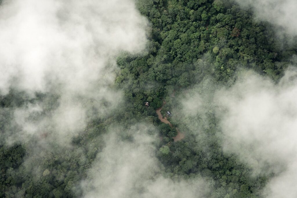 Estados Unidos se adueña del Amazonas: el negocio de $200 millones que pocos vieron venir