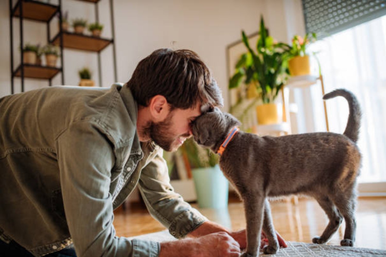 ¿Le hablas a tu mascota como si fuera humana? Descubre lo que dice la psicología sobre tu personalidad