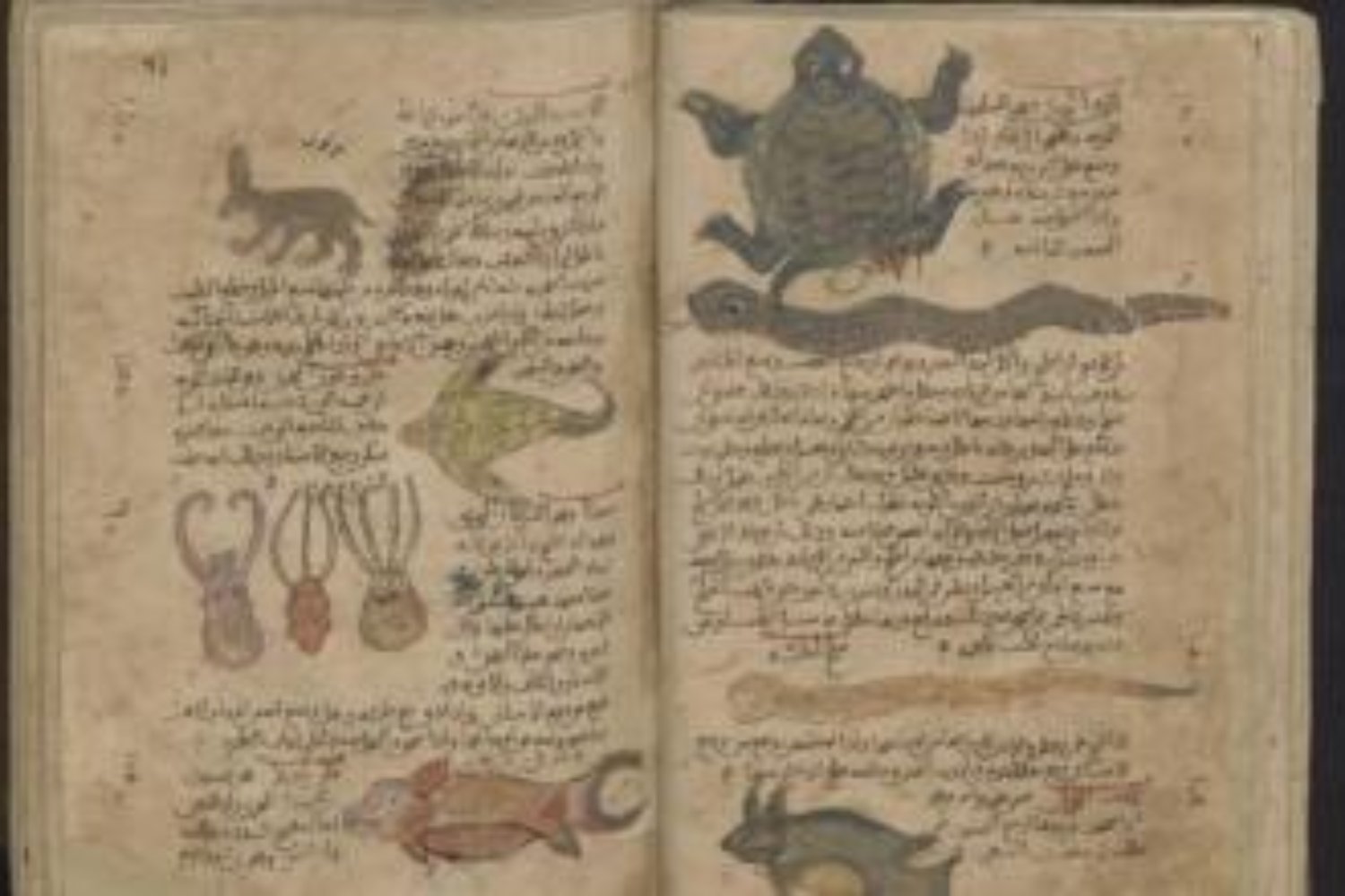 El hallazgo oculto en antiguos manuscritos que podría cambiar la historia de la geometría