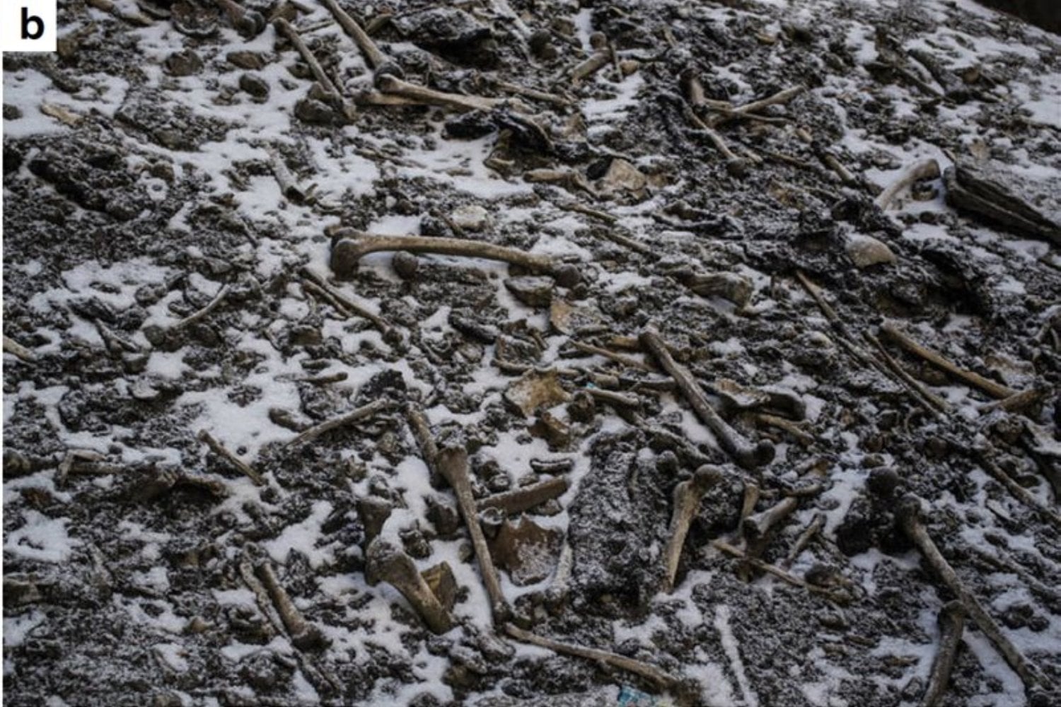 Los esqueletos malditos del Himalaya: el lago que devuelve muertos cada verano