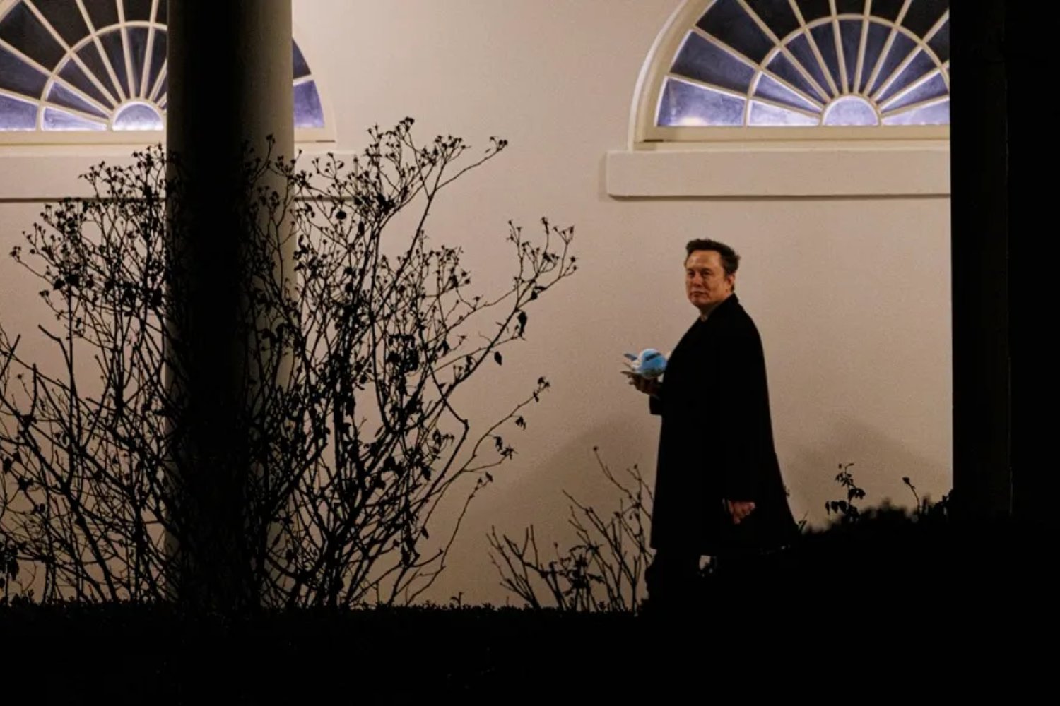 Elon Musk en la mira: miles de canadienses exigen quitarle la ciudadanía