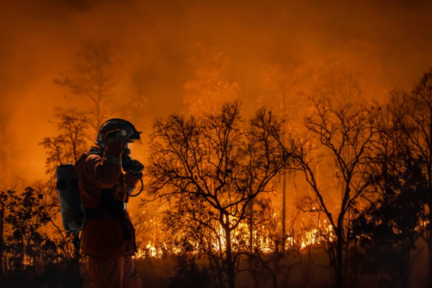 El polémico plan de Trump para purgar científicos del gobierno y silenciar el cambio climático