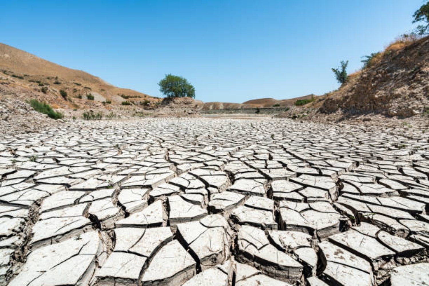 El polémico plan de Trump para purgar científicos del gobierno y silenciar el cambio climático
