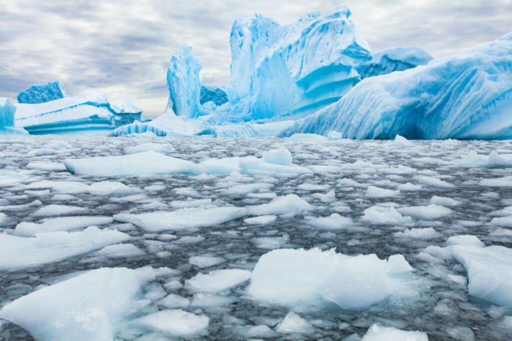 Algo inquietante apareció en la Antártida: un ‘rostro’ en la nieve desata teorías ocultas