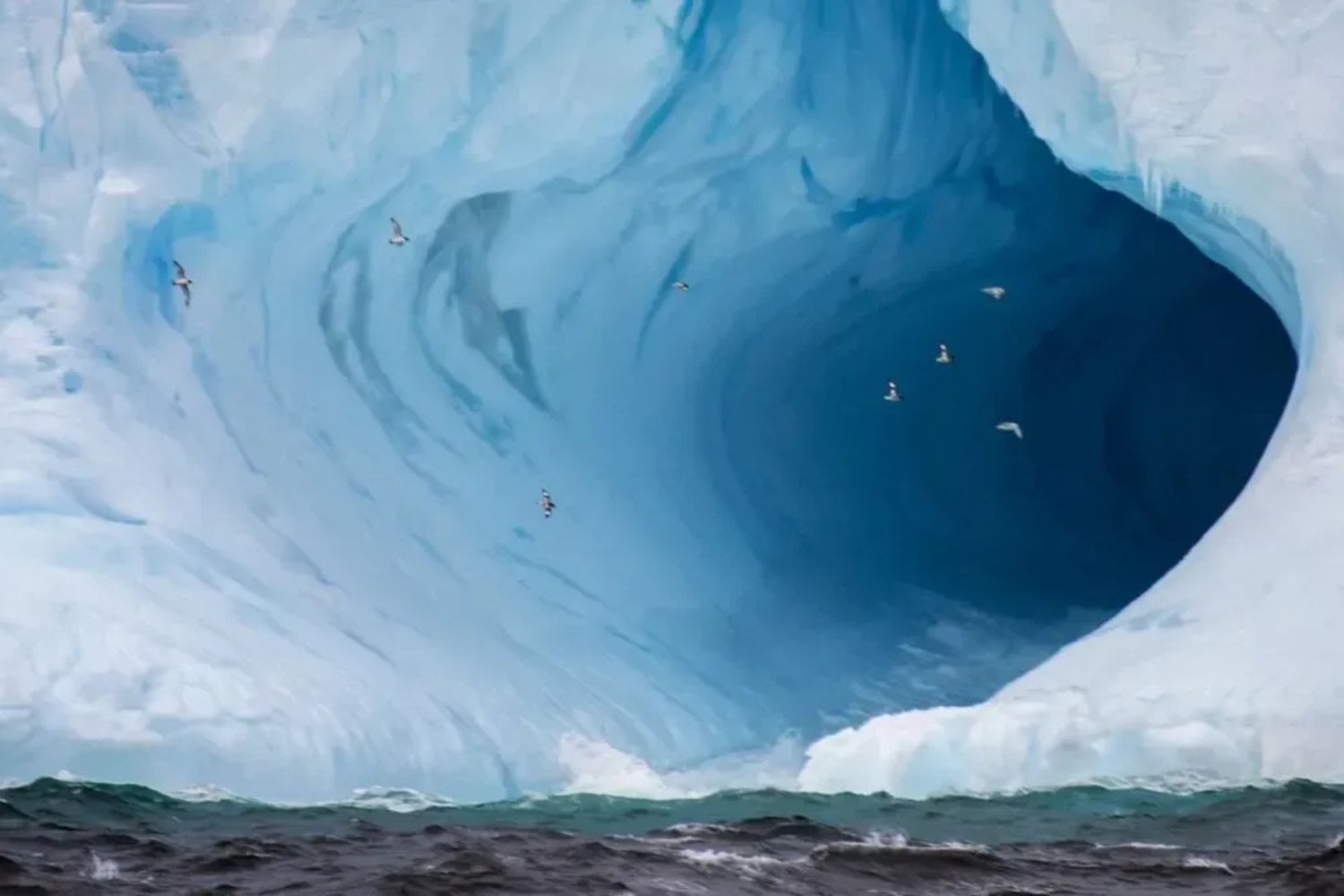 Algo inquietante apareció en la Antártida: un ‘rostro’ en la nieve desata teorías ocultas