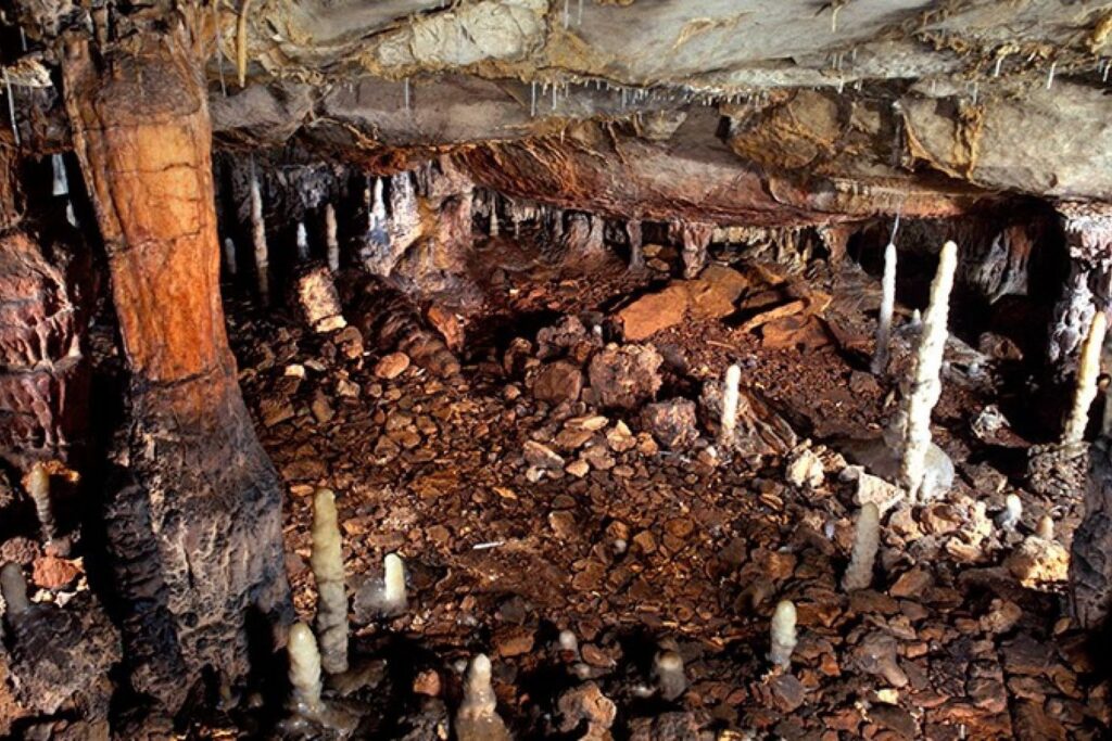 El hallazgo que sacude la arqueología: reliquias ocultas en tumbas del siglo VIII