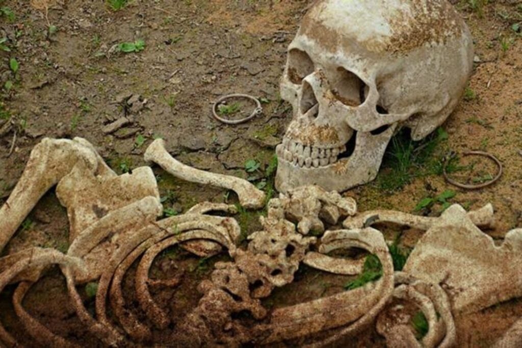 ¿Existen los gigantes? La ciencia responde a la teoría viral
