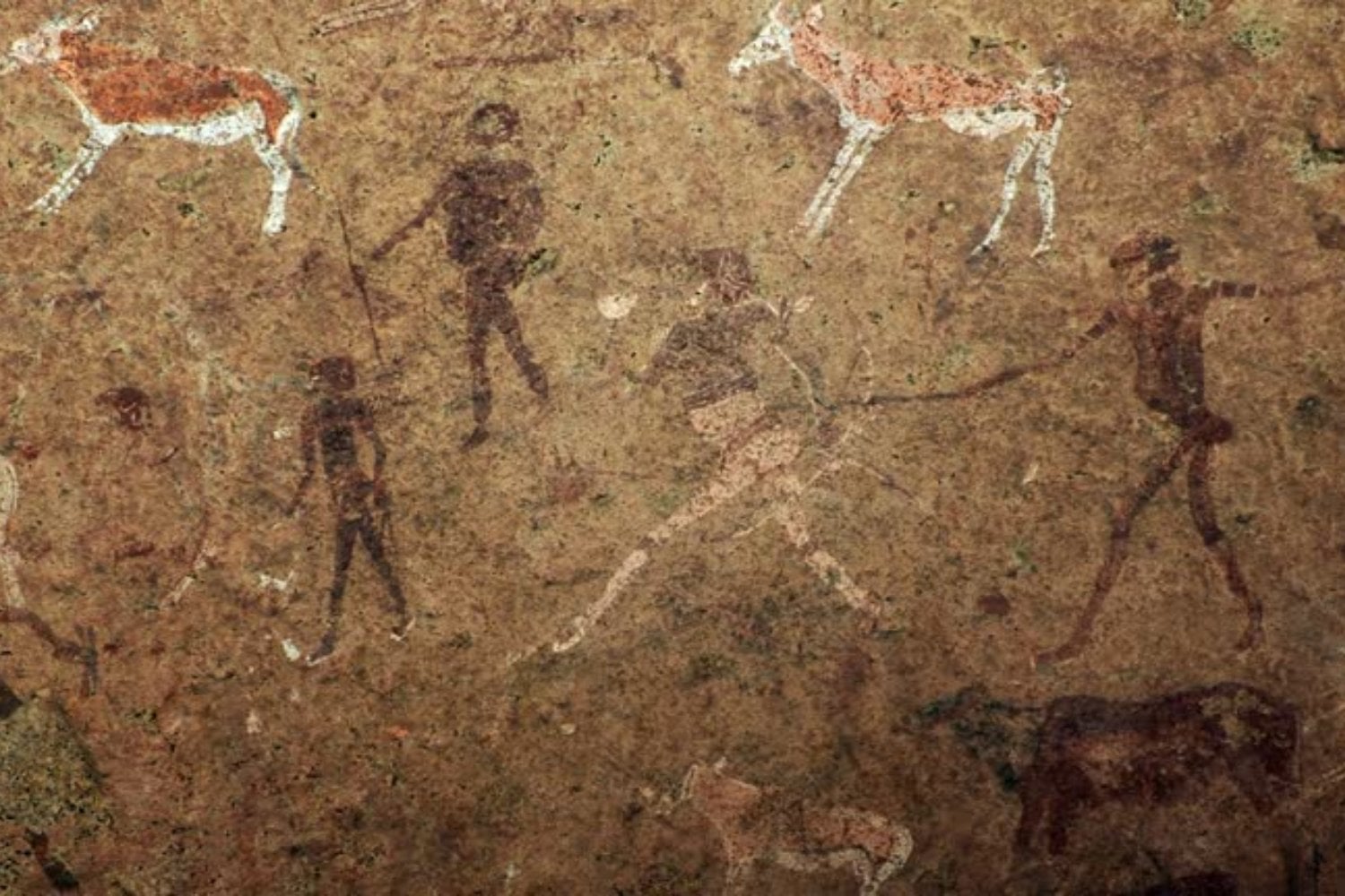 El enigmático rastro de un taller prehistórico: 850 herramientas de piedra y un misterio de 1,5 millones de años