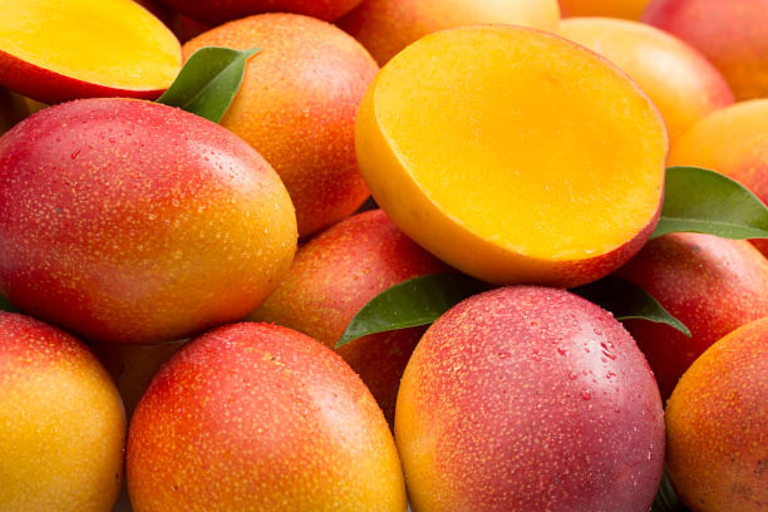 La hoja del mango podría ayudarte a combatir la inflamación