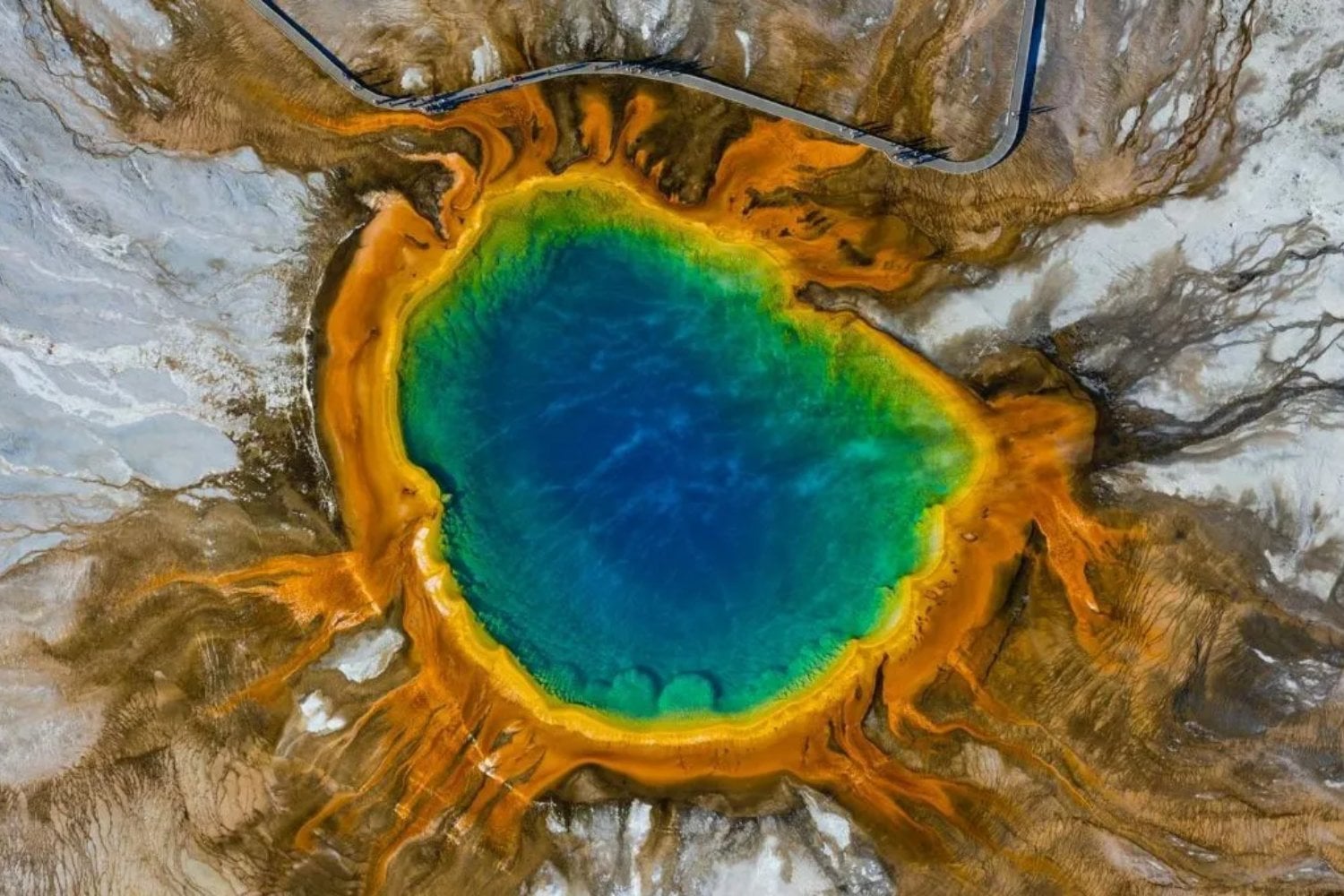 Un enigmático hallazgo en Yellowstone que deja a todos sin palabras