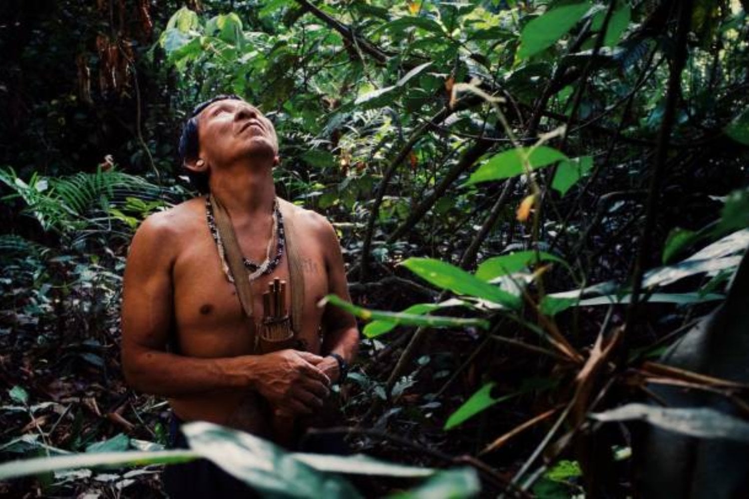 El misterio de la presencia más antigua del Homo sapiens en la selva africana