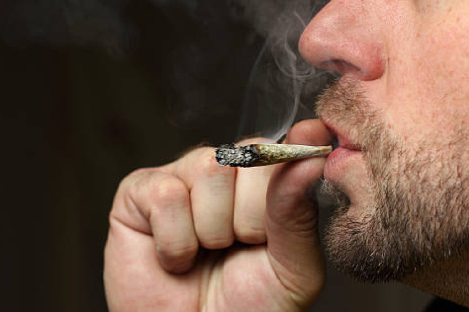 ¿Fumar marihuana causa cáncer de pulmón? Lo que la ciencia ha descubierto