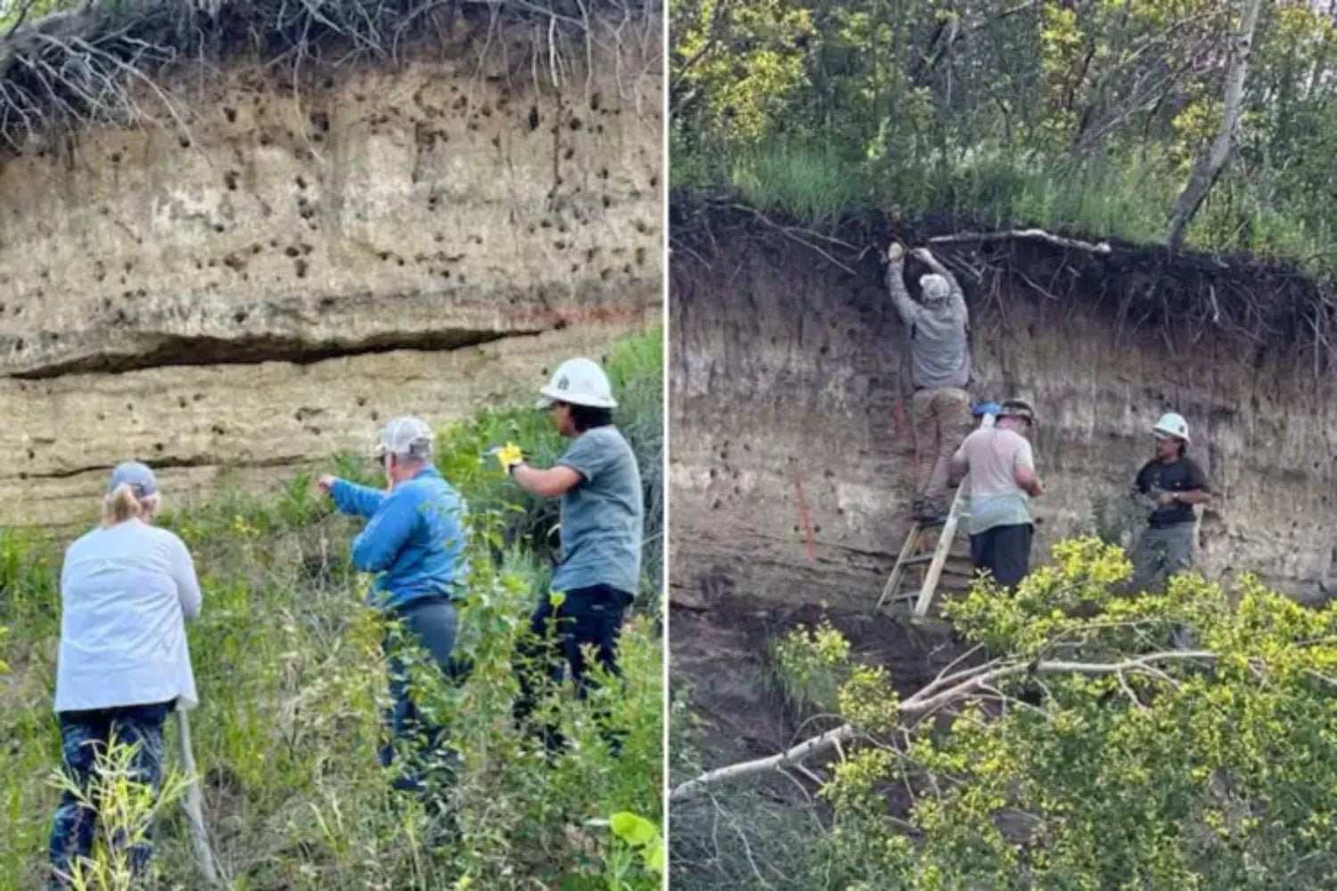 Un hallazgo en Canadá podría cambiar la historia: descubren un asentamiento indígena de 11.000 años