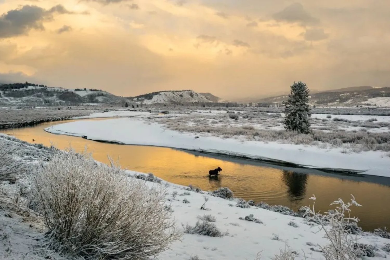 Un enigmático hallazgo en Yellowstone que deja a todos sin palabras