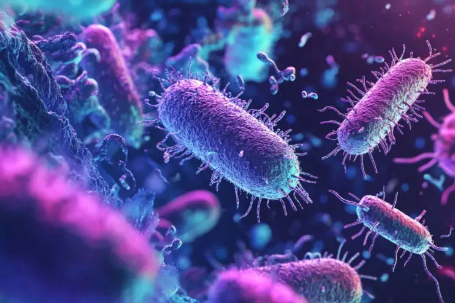 Evelyn Witkin: La científica que desafió la universidad y descubrió cómo las bacterias reparan su ADN