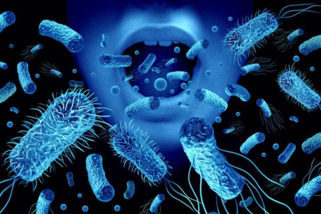 Evelyn Witkin: La científica que desafió la universidad y descubrió cómo las bacterias reparan su ADN