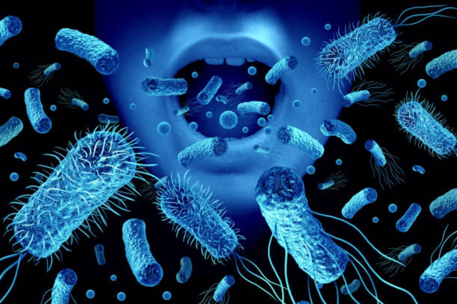 Evelyn Witkin: La científica que desafió la universidad y descubrió cómo las bacterias reparan su ADN