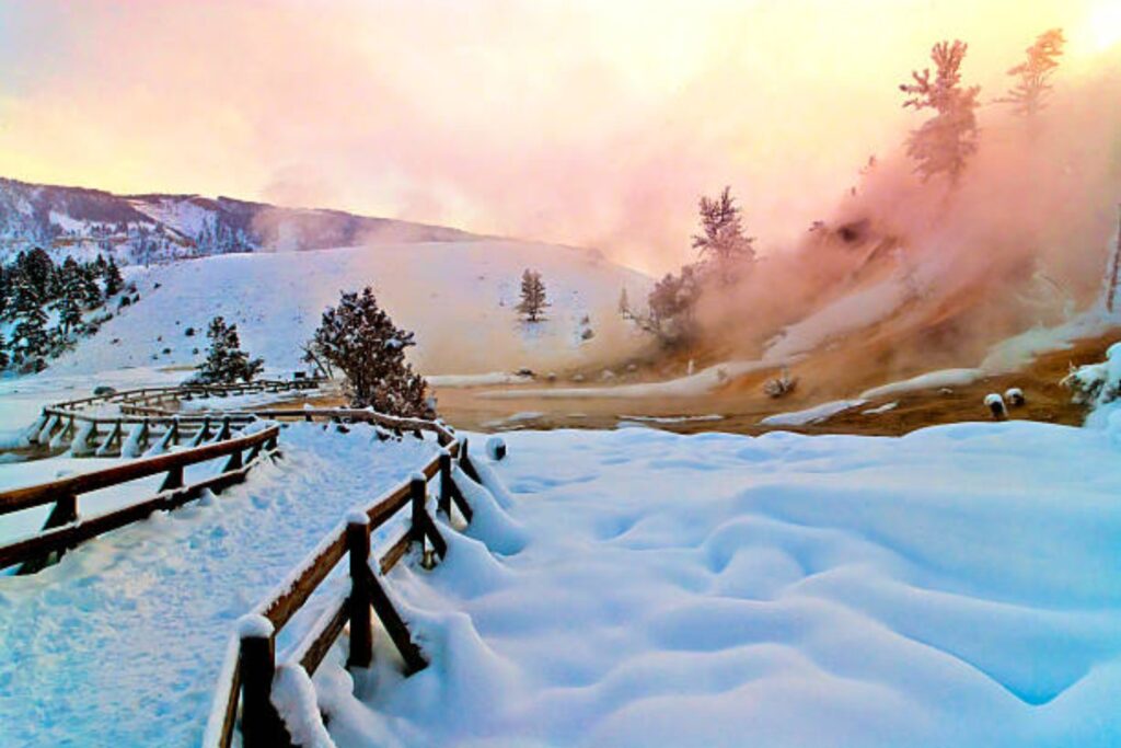 Un enigmático hallazgo en Yellowstone que deja a todos sin palabras