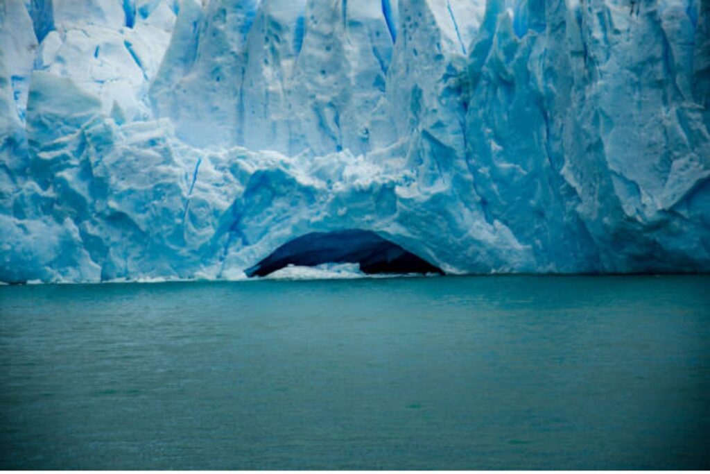 Al borde de la extinción: la drástica caída de los osos polares y el deshielo que amenaza su supervivencia