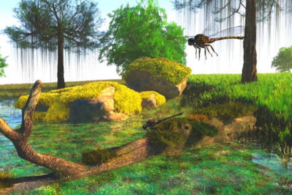 El insecto gigante que dominó los cielos: el asombroso Meganeura