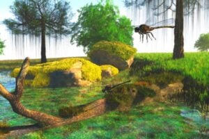 El insecto gigante que dominó los cielos: el asombroso Meganeura