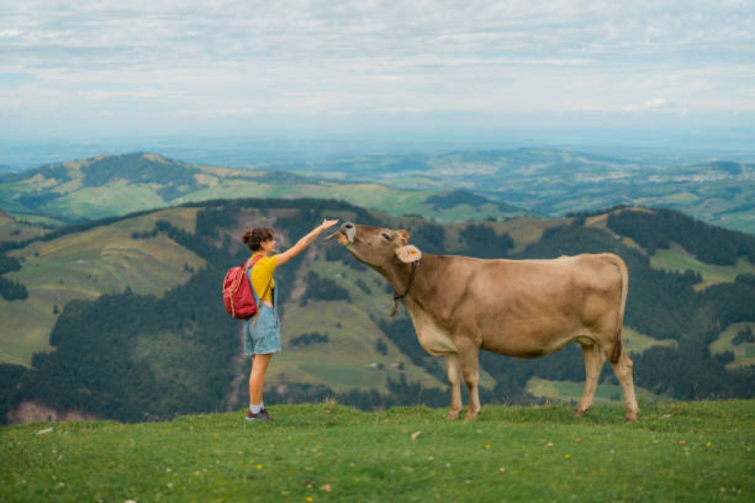 Suiza: El país más inteligente del mundo