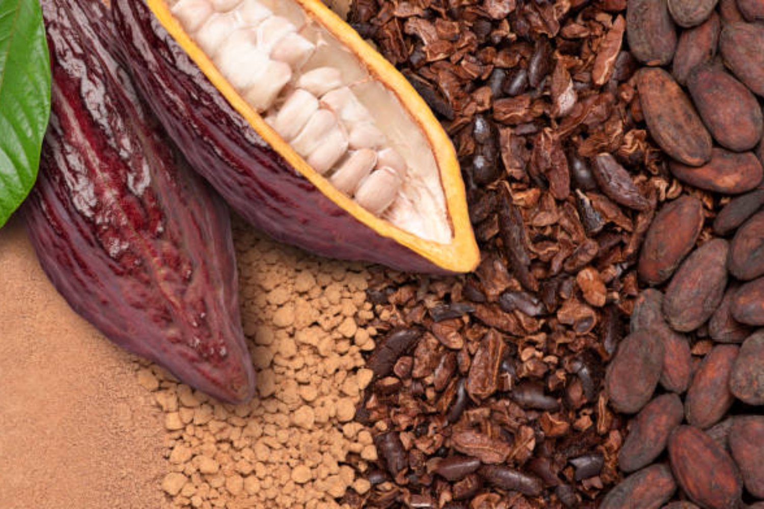 El verdadero origen del cacao: una civilización amazónica lo usaba miles de años antes que los aztecas
