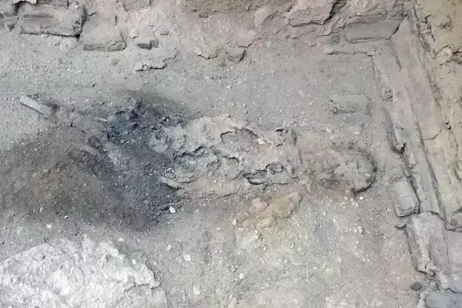 El misterio del cerebro vitrificado en Herculano: ¿qué reveló la erupción del Vesubio?