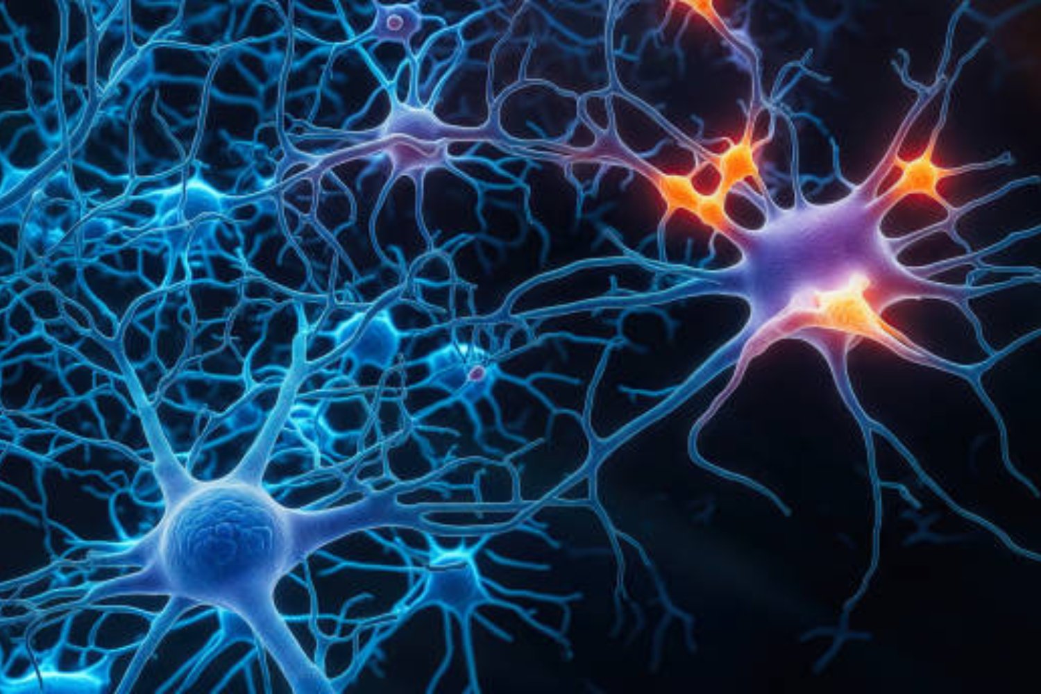 El sorprendente caso de un hombre que desafía al Alzheimer y deja perpleja a la ciencia