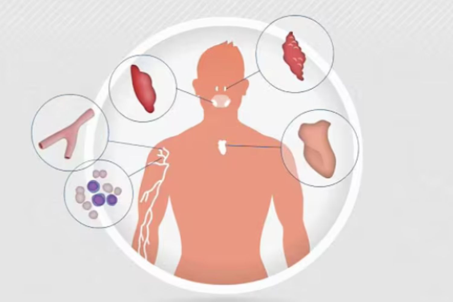 Diseño Sin Título (78)