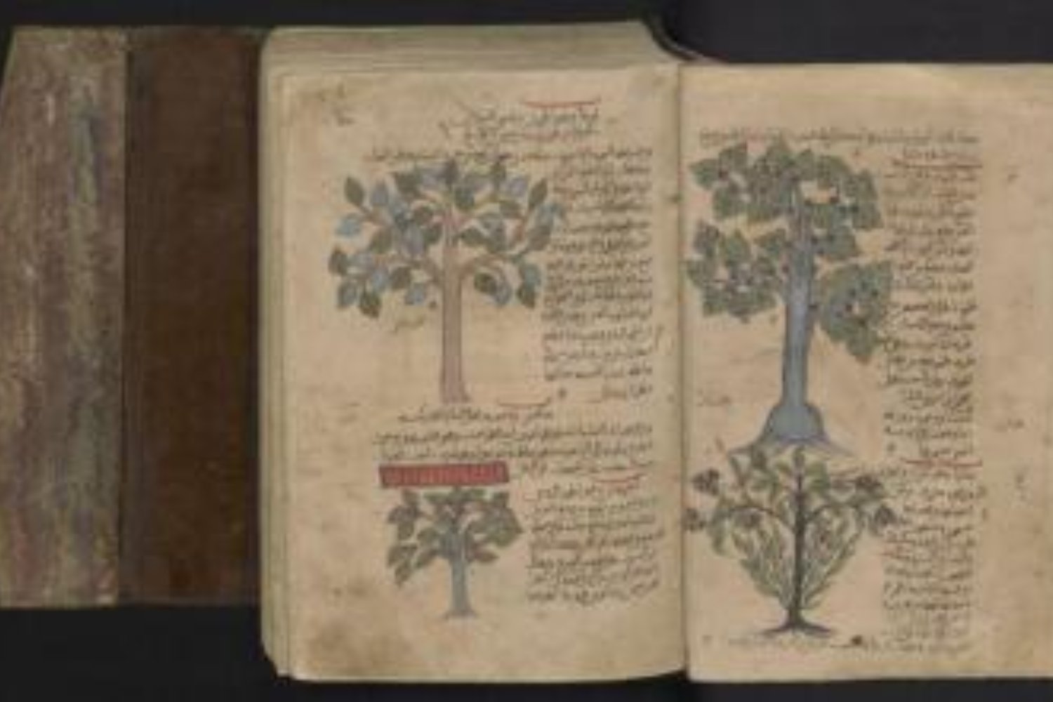 El hallazgo oculto en antiguos manuscritos que podría cambiar la historia de la geometría