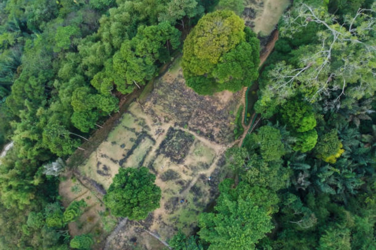 ¿Quién construyó la pirámide más antigua del mundo? Un hallazgo en Indonesia desconcierta a los arqueólogos