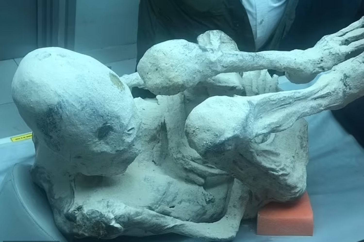 Científicos afirman que las "momias alienígenas" de Perú son reales tras nuevos hallazgos