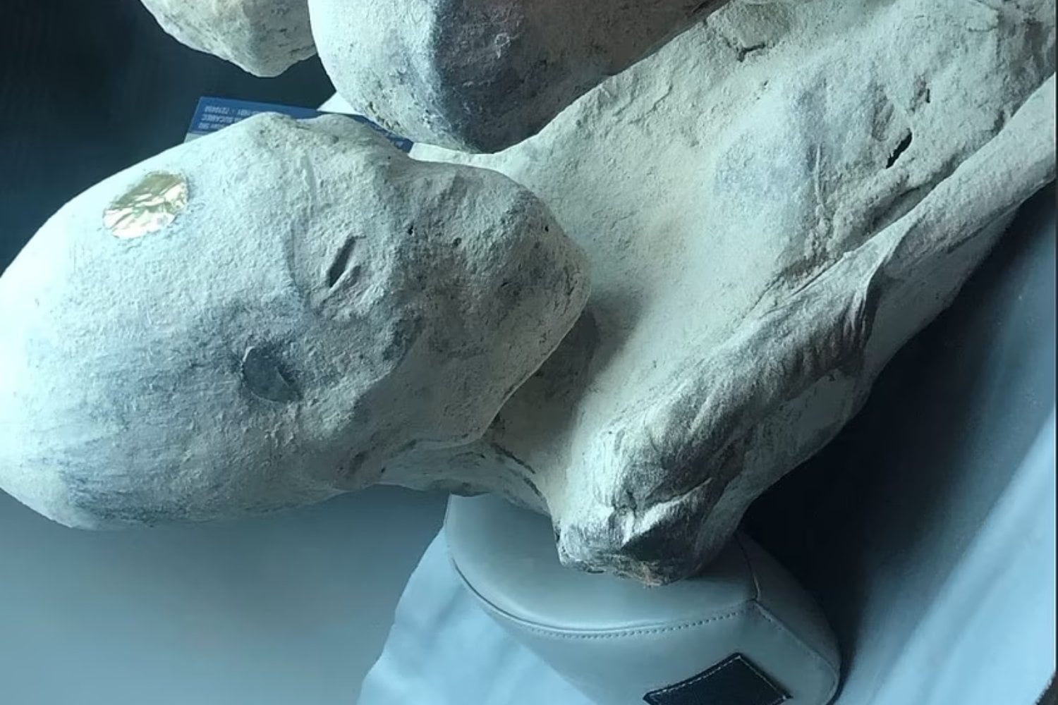 Científicos afirman que las "momias alienígenas" de Perú son reales tras nuevos hallazgos