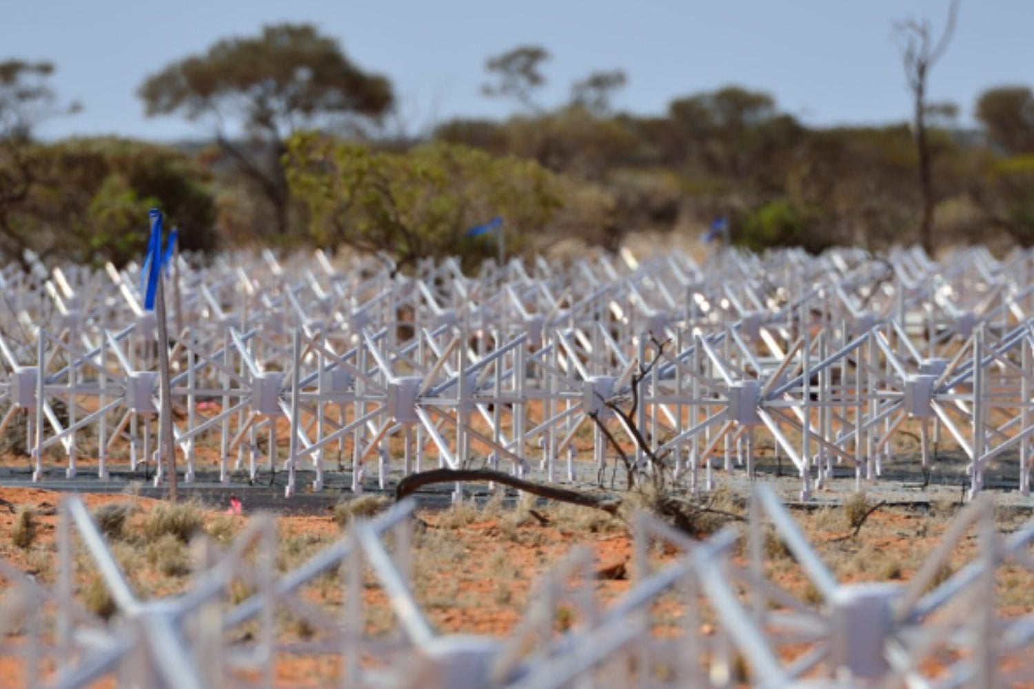 El misterioso hallazgo en señales del universo que resultó tener un origen inesperado