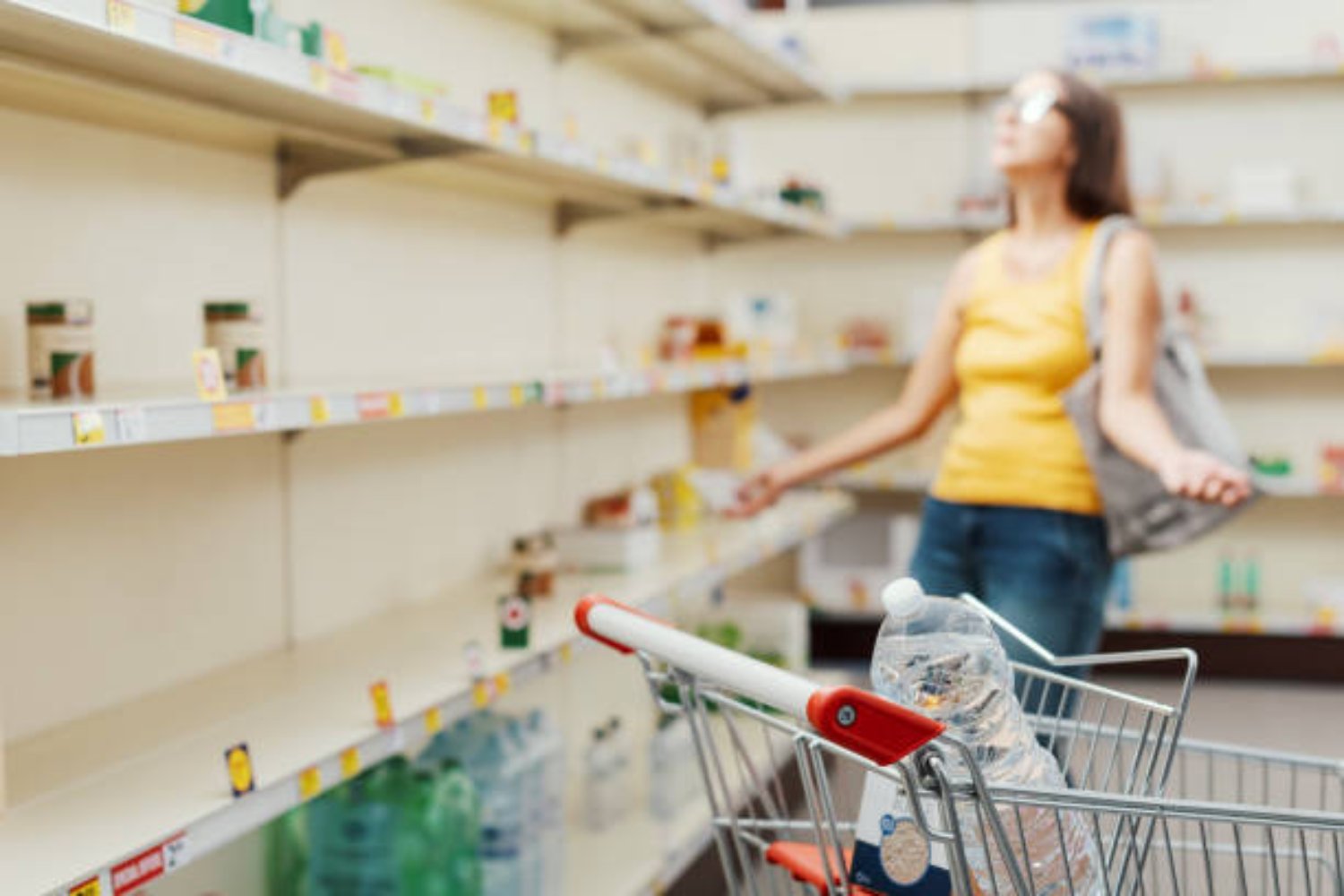 Los primeros desaparecidos: el inesperado producto que ya no se encuentra en las tiendas de Canadá - Licor y bebidas alcoholicas