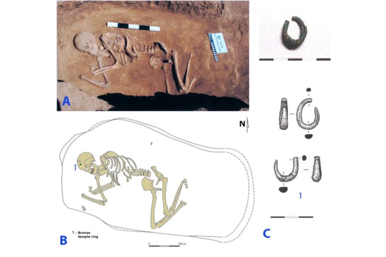 El hallazgo que cambia la historia: revelan el origen del idioma que transformó la humanidad