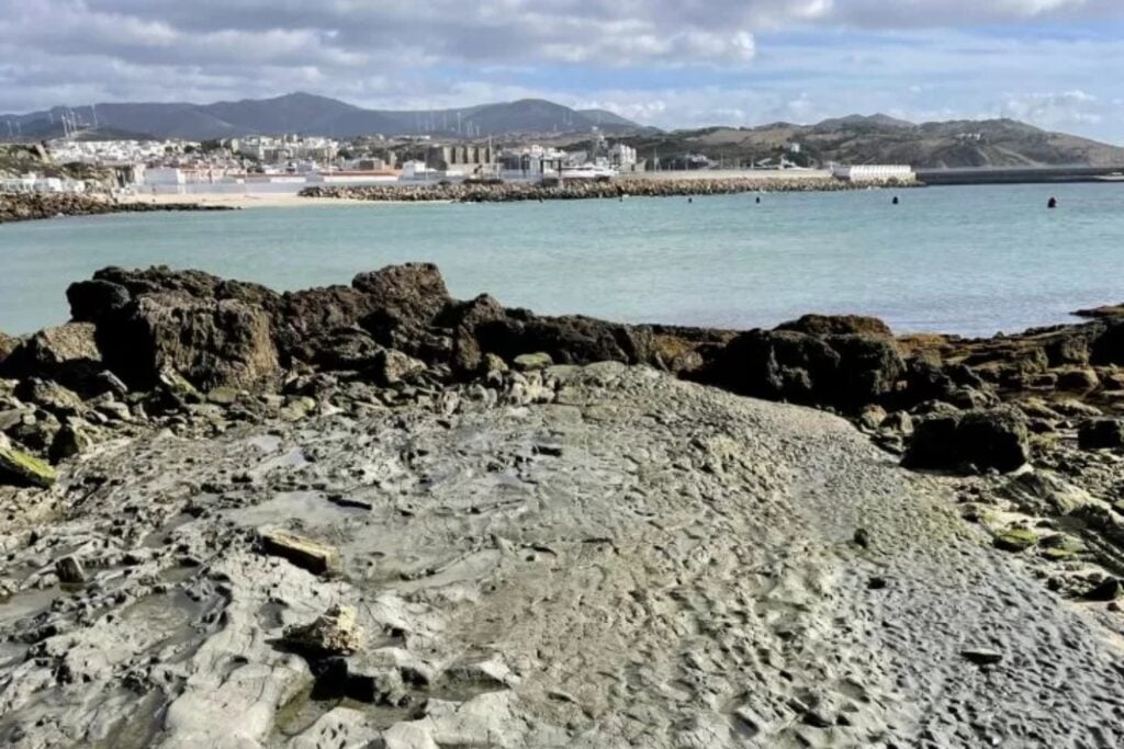 ¿Una puerta al pasado? Descubren en España más de 600 huellas de criaturas gigantes de hace 778.000 años