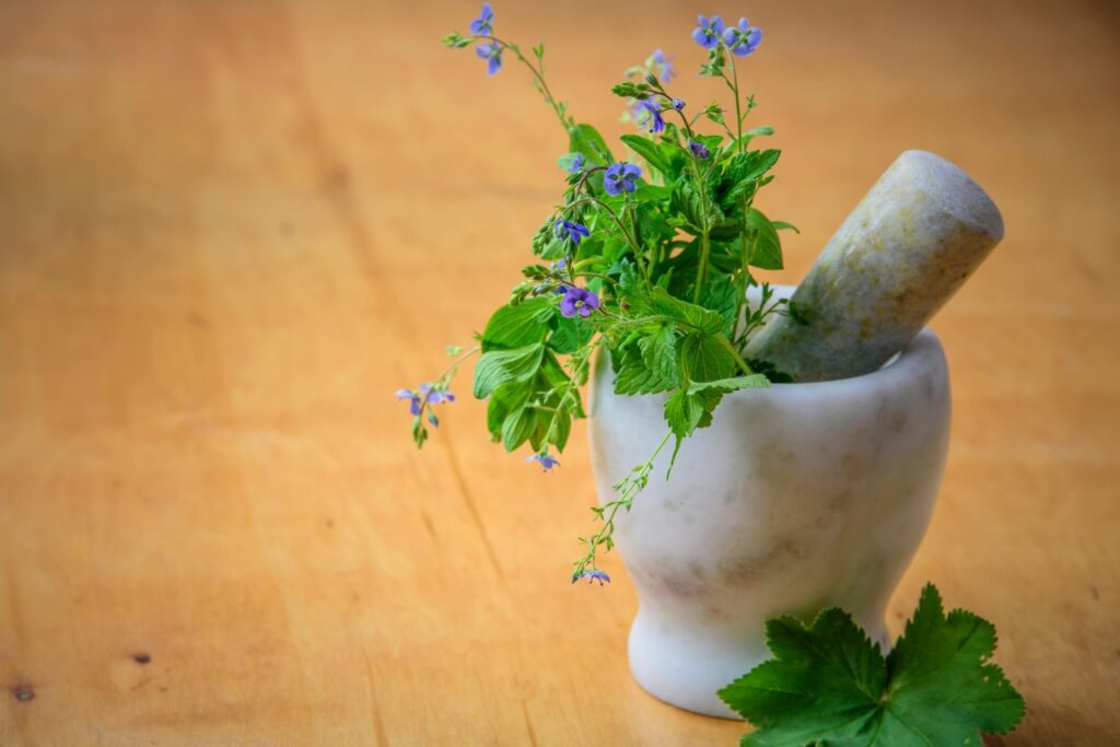 Menta