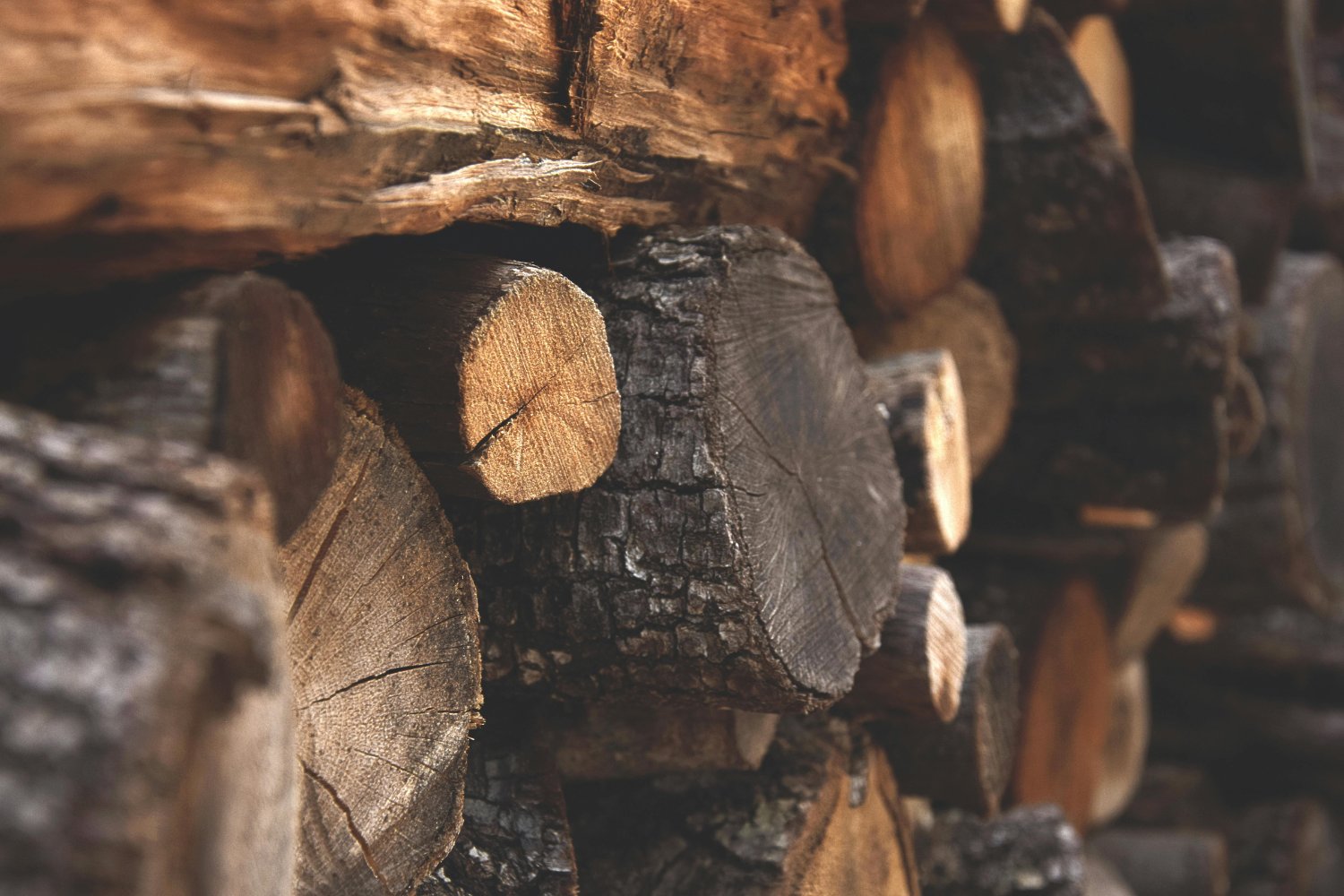 Deforestacion
